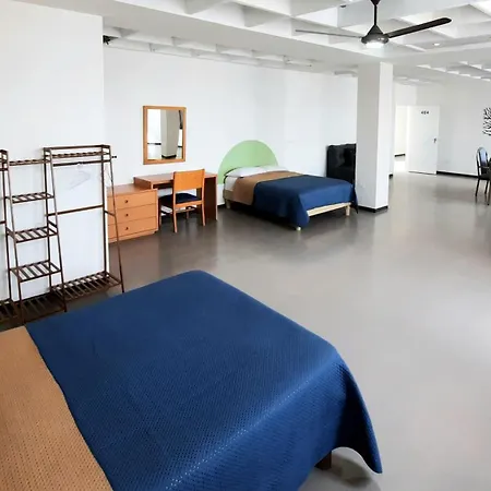 Hotel Allende 104-3